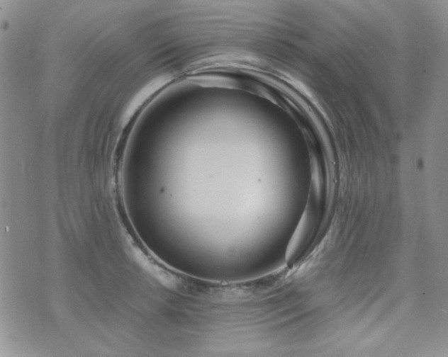 X0000073701042200608031209