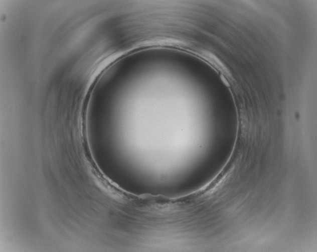 X0000073701044200608031209