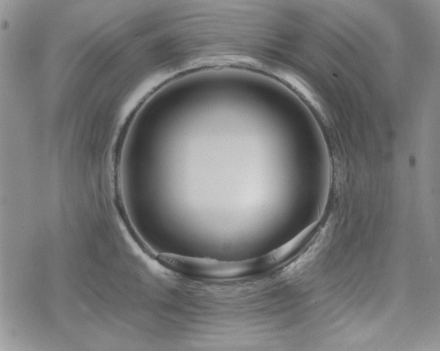 X0000073701046200608031209