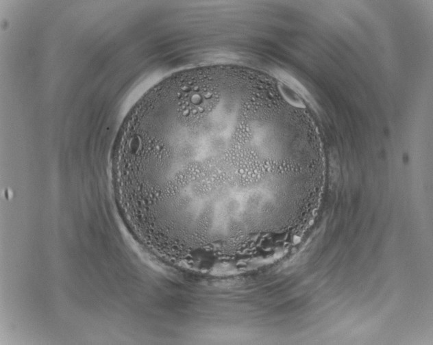 X0000073701047200608031209