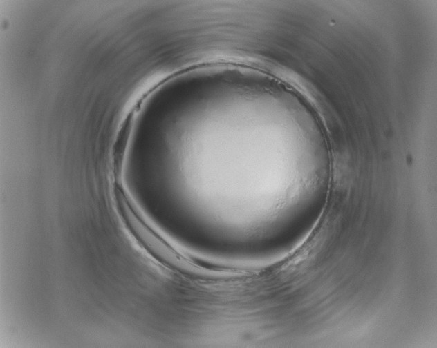 X0000073701048200608031209