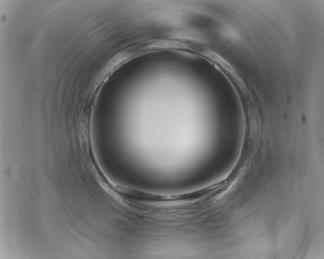 X0000073701049200608031209