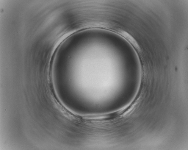 X0000073701052200608031210