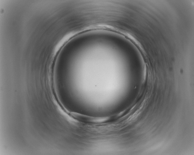 X0000073701054200608031210