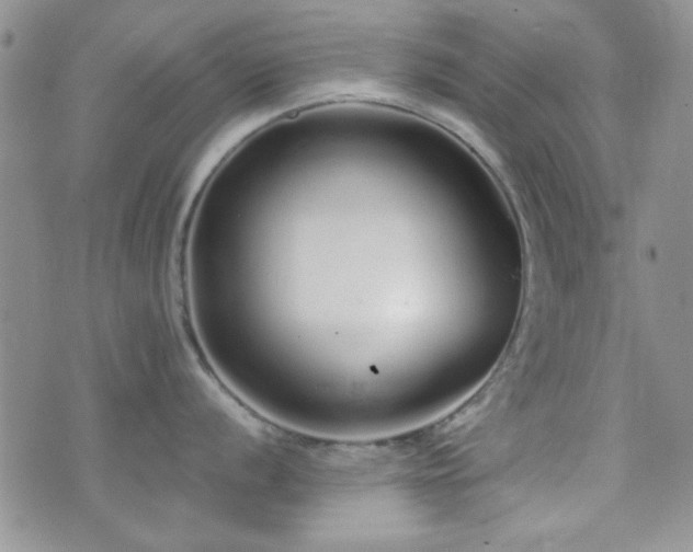 X0000073701056200608031210