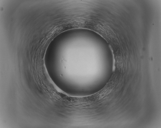 X0000073701057200608031209