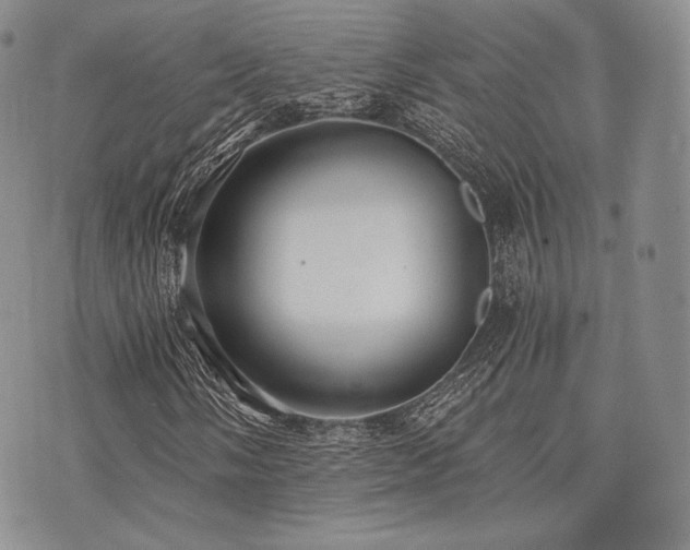 X0000073701058200608031209