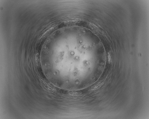 X0000073701059200608031209