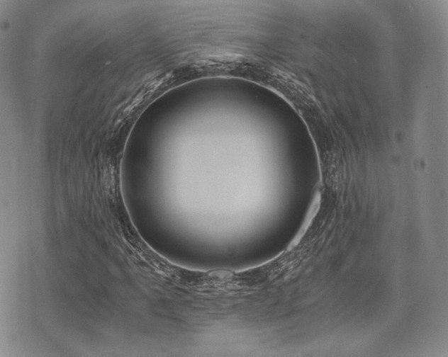 X0000073701061200608031209