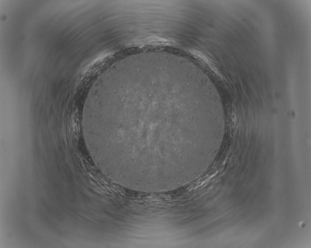 X0000073701063200608031209