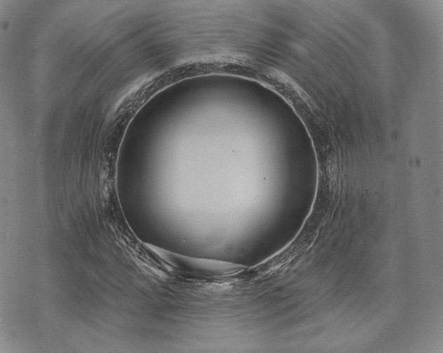 X0000073701064200608031209