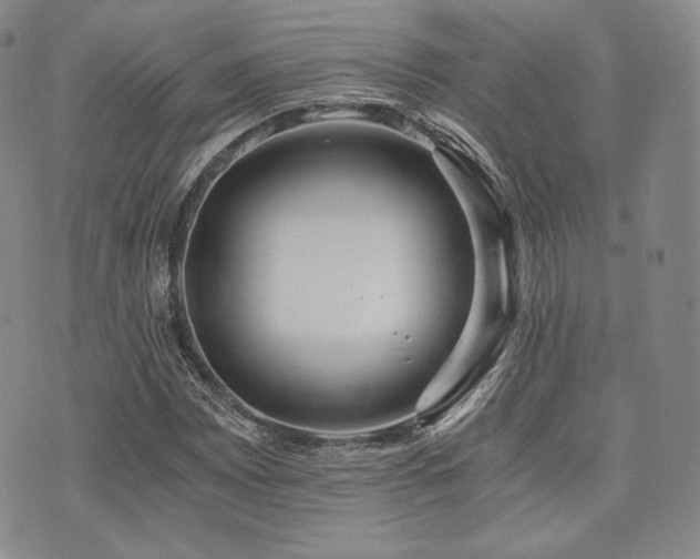 X0000073701065200608031209