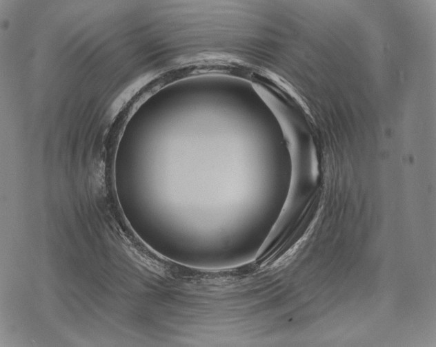 X0000073701066200608031209