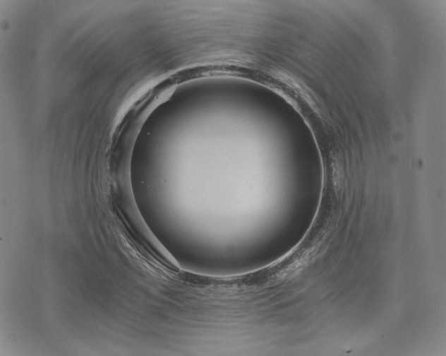 X0000073701069200608031209