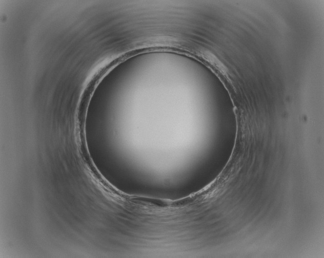 X0000073701072200608031209