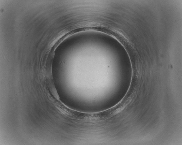 X0000073701073200608031209