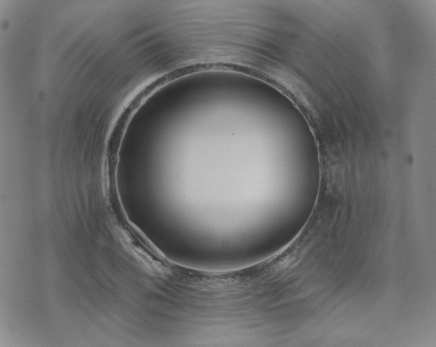 X0000073701076200608031208