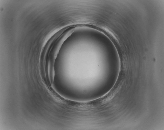 X0000073701077200608031208