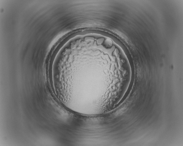 X0000073701078200608031208