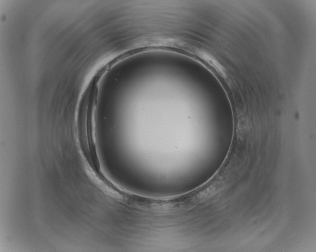 X0000073701080200608031208