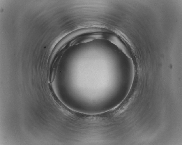 X0000073701081200608031208