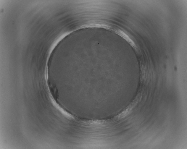 X0000073701084200608031208