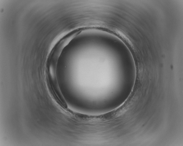 X0000073701085200608031208