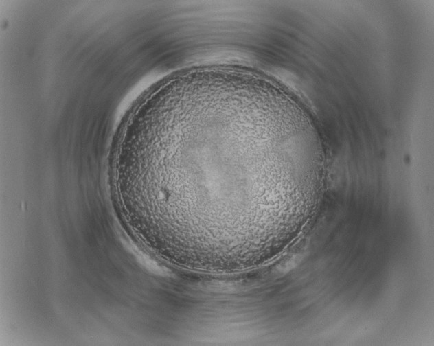 X0000073701086200608031208