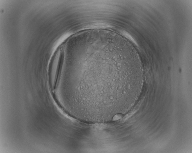 X0000073701087200608031208