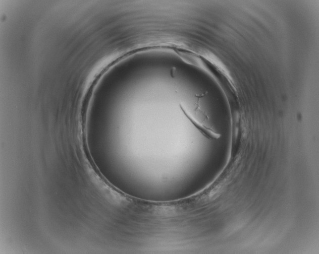 X0000073701088200608031208