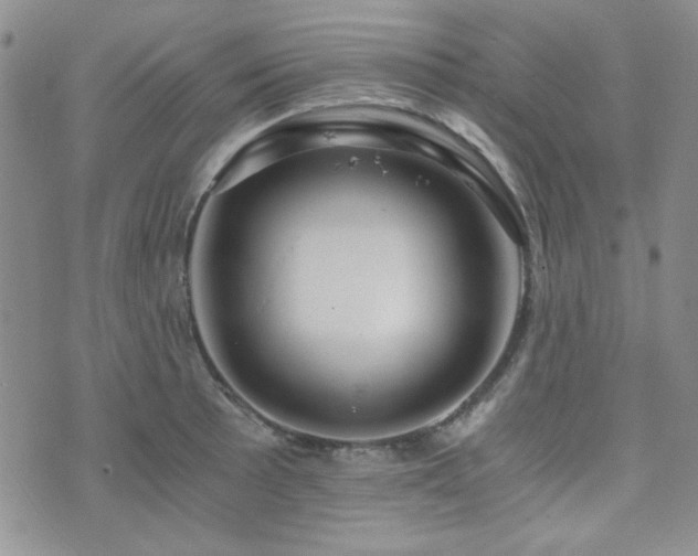 X0000073701089200608031208