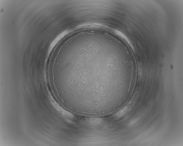 X0000073701090200608031208