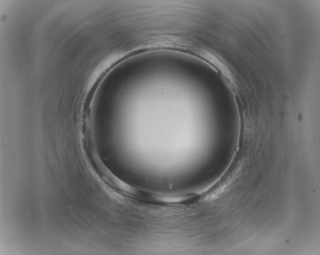 X0000073701093200608031208