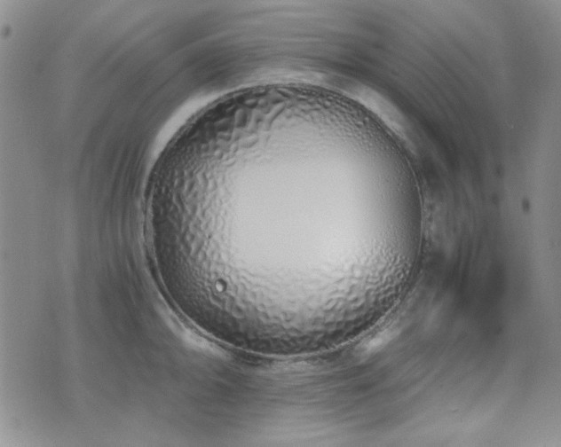 X0000073701094200608031208