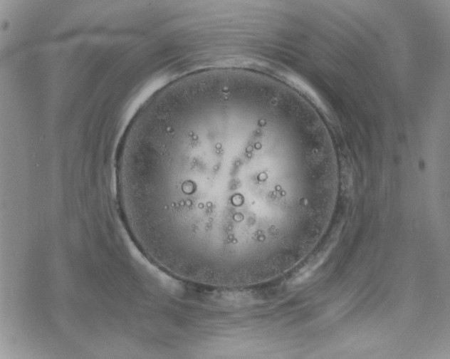 X0000073701095200608031208