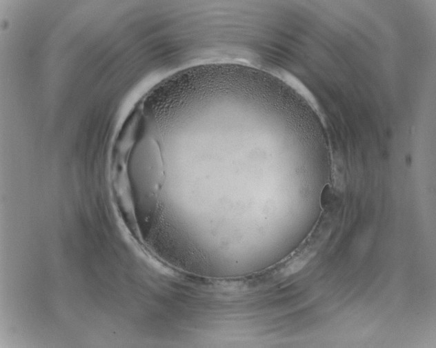 X0000073701096200608031208