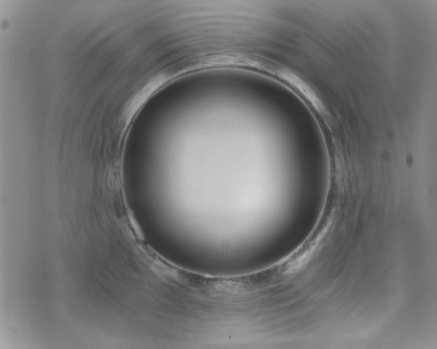 X0000073701097200608031208