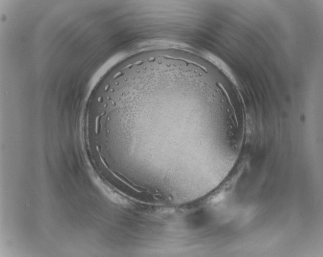 X0000073701098200608031208