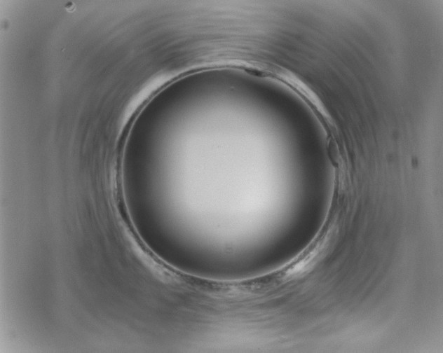 X0000073701101200608031208