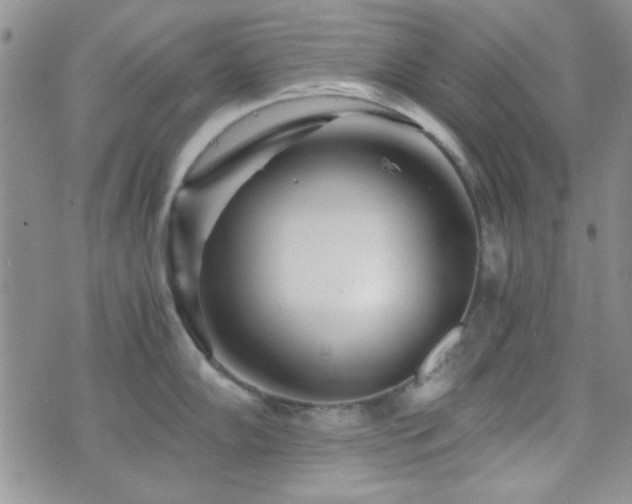 X0000073701102200608031208