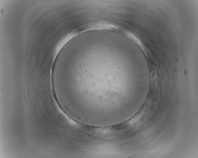 X0000073701103200608031208