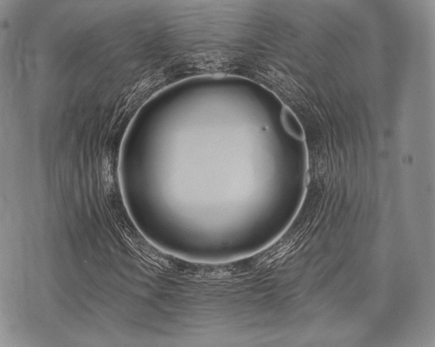 X0000073701106200608031207