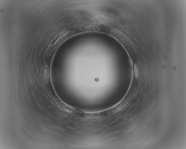 X0000073701107200608031207