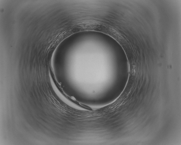 X0000073701108200608031207