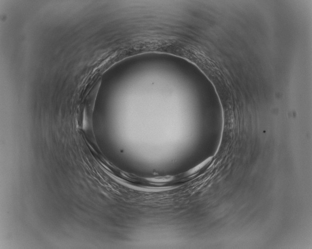 X0000073701109200608031207