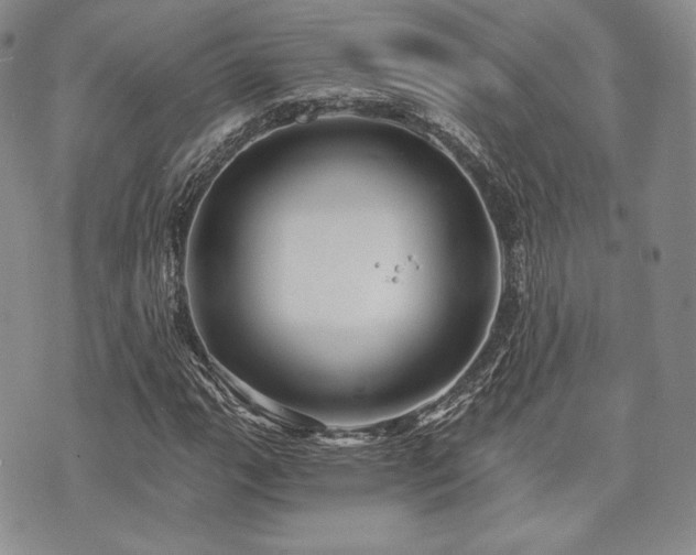 X0000073701111200608031207