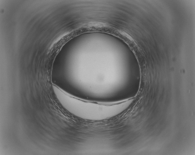 X0000073701112200608031207