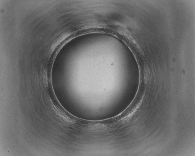 X0000073701113200608031207