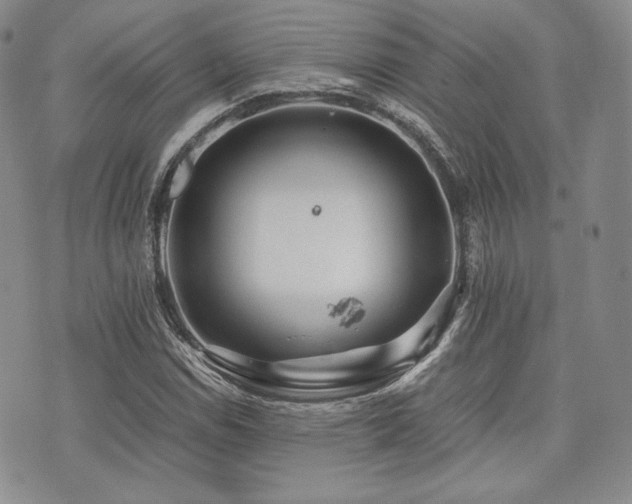 X0000073701114200608031207