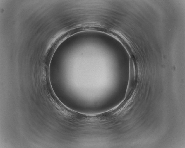 X0000073701115200608031207